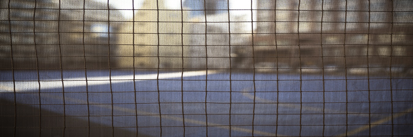 All Safety Net Services